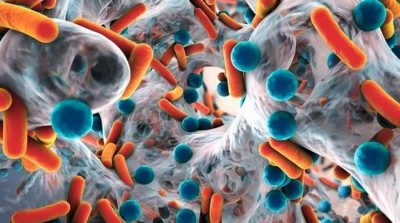 Bacterias que trabajan a favor de nuestra piel